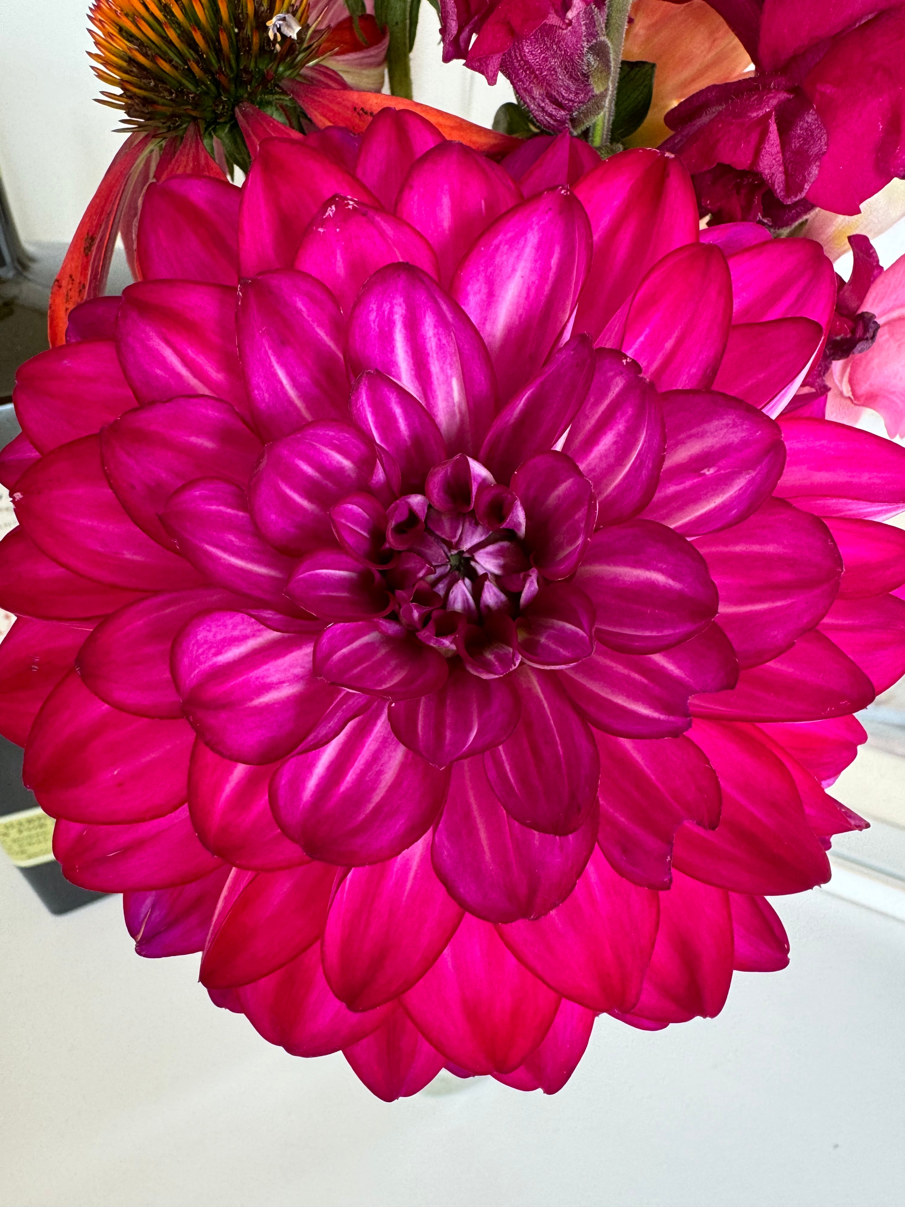 Fabulous